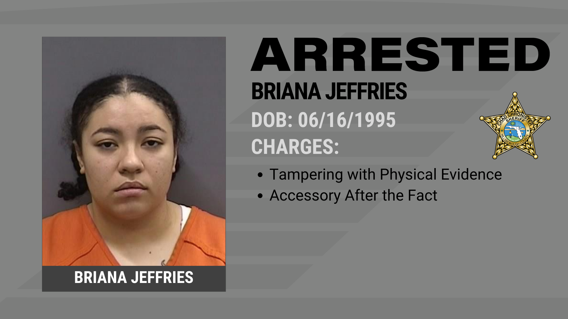 Additional Suspect Arrested After HCSO Deputy Injured