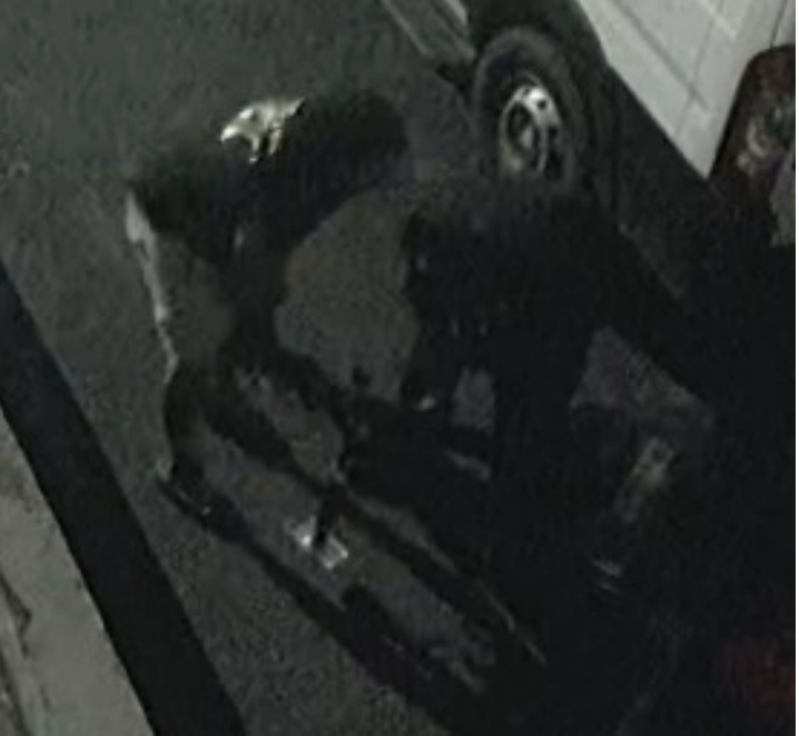 HCSO looking for suspects believed to be involved in rash of trailer thefts