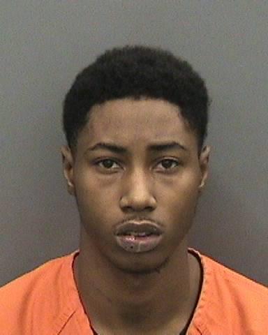 Two arrested in Lithia home invasion
