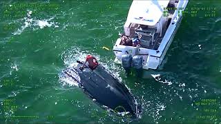 HCSO Marine Unit and good Samaritans help save 11 people from capsized boat