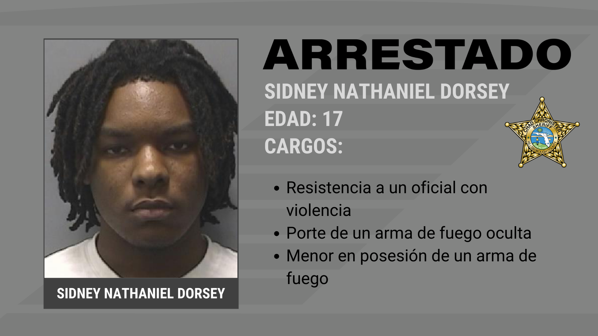 Parada de tráfico del HCSO lleva a múltiples arrestos Supporting Image