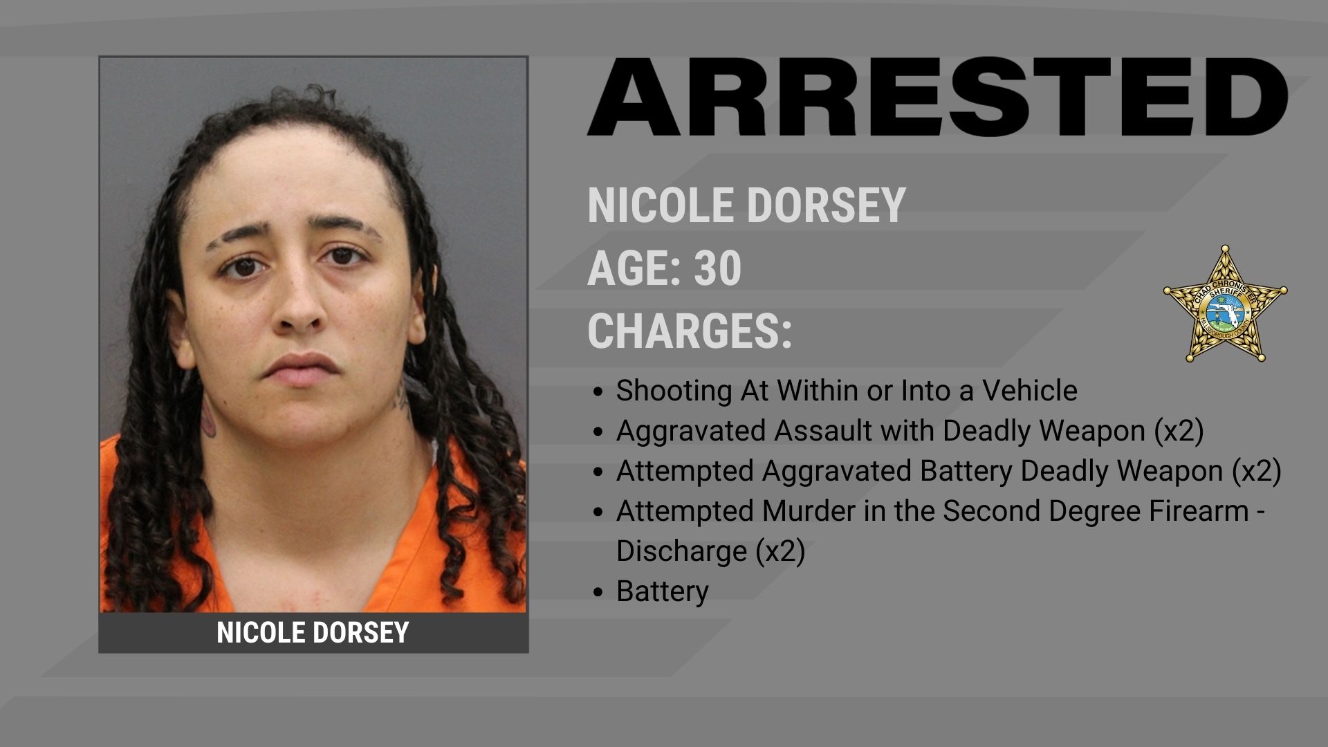 Woman Arrested After Shooting Supporting Image