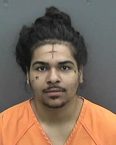 Suspect arrested following attacks on neighbors, deputies