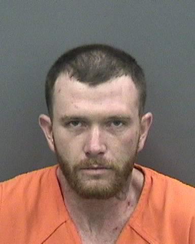 Suspect arrested following deadly hit-and-run accident