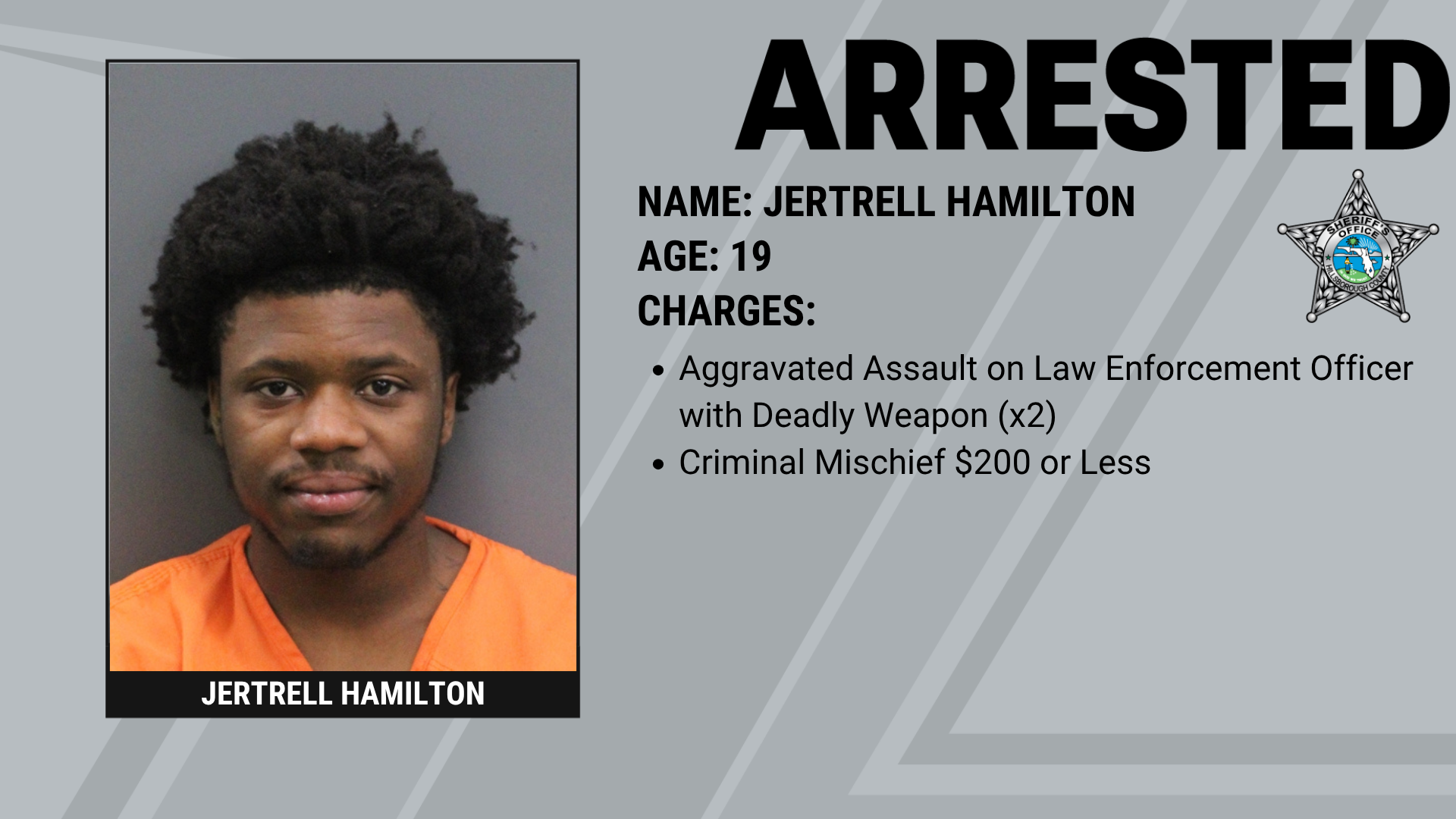  Three Teenagers Arrested After Pointing BB Guns at HCSO Aviation Unit Supporting Image