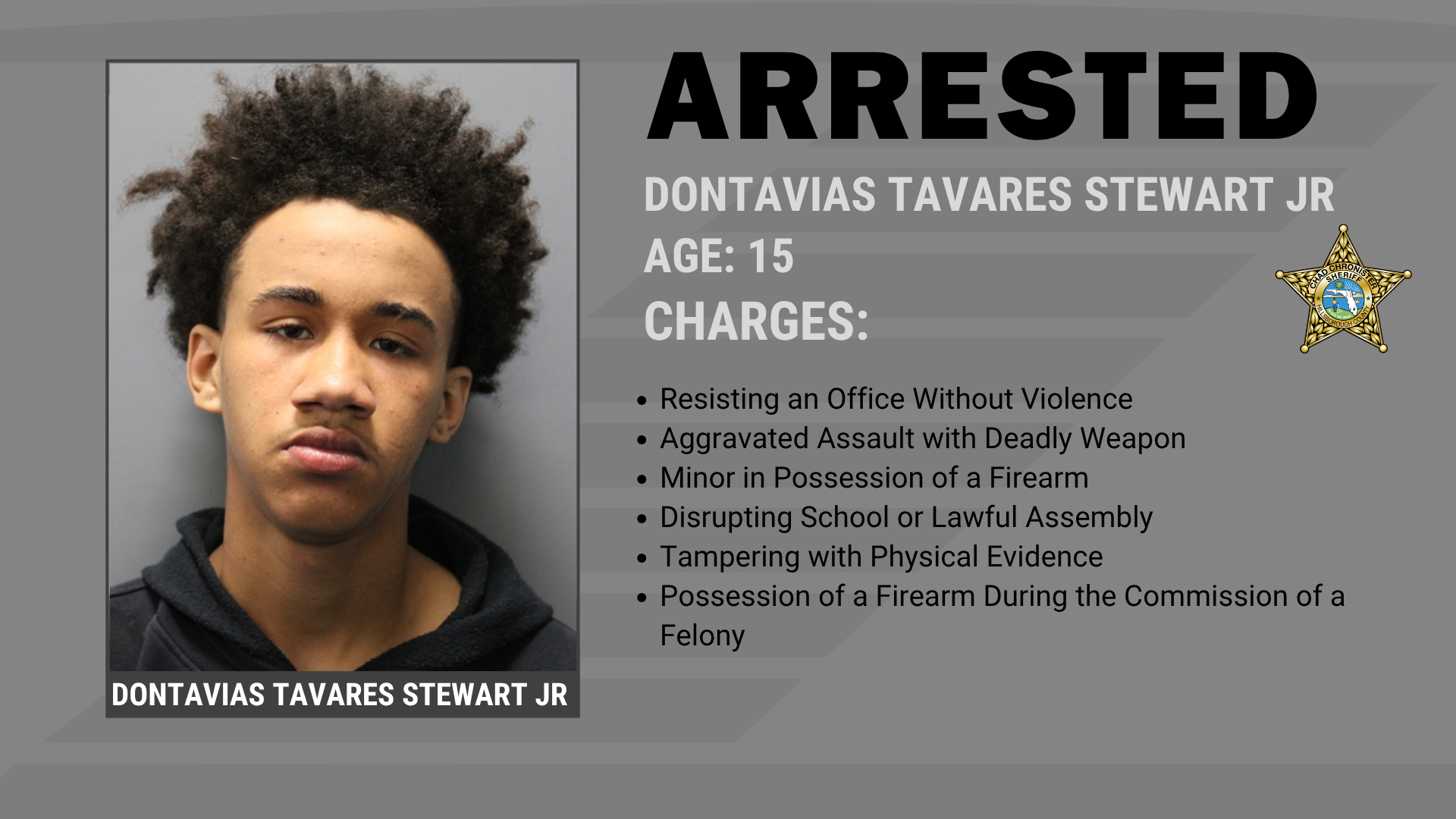 Two Armed Juveniles Arrested After Mall Disturbance Supporting Image