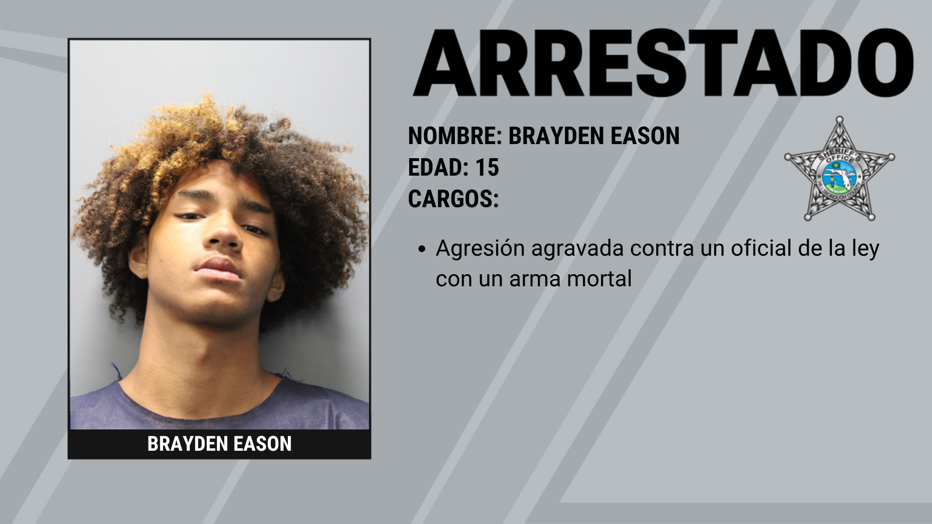 Tres adolescentes arrestados tras apuntar pistolas de aire (BB) a la Unidad de Aviación de la HCSO Supporting Image