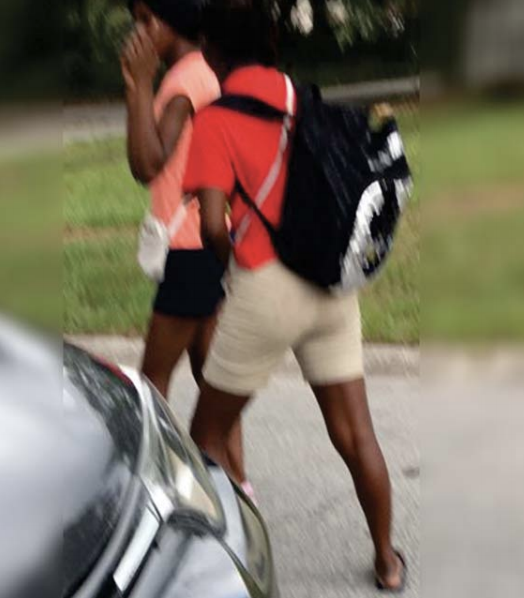 ATTEMPT TO IDENTIFY: two suspects who pepper-sprayed an elderly woman