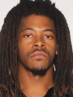 Detectives Investigating Homicide in Thonotosassa  Supporting Image