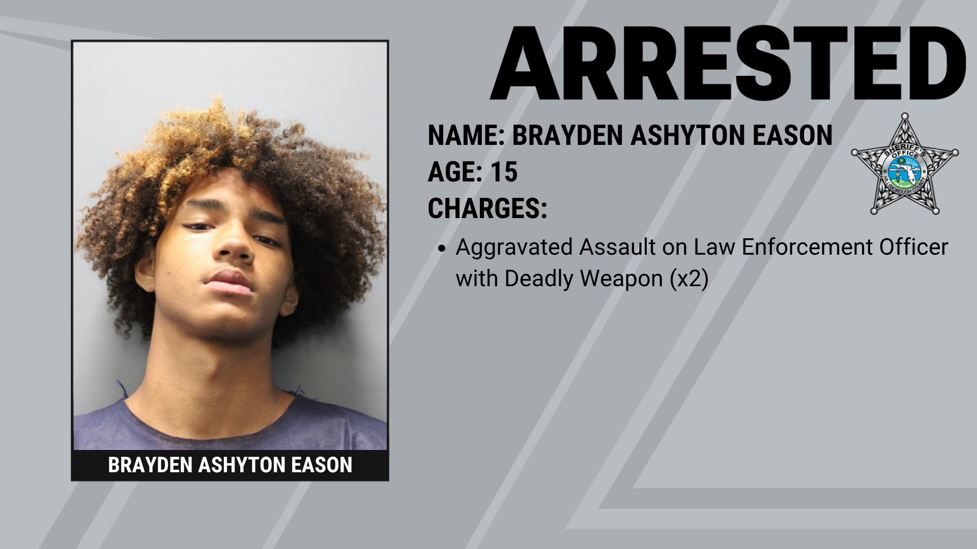  Three Teenagers Arrested After Pointing BB Guns at HCSO Aviation Unit Supporting Image