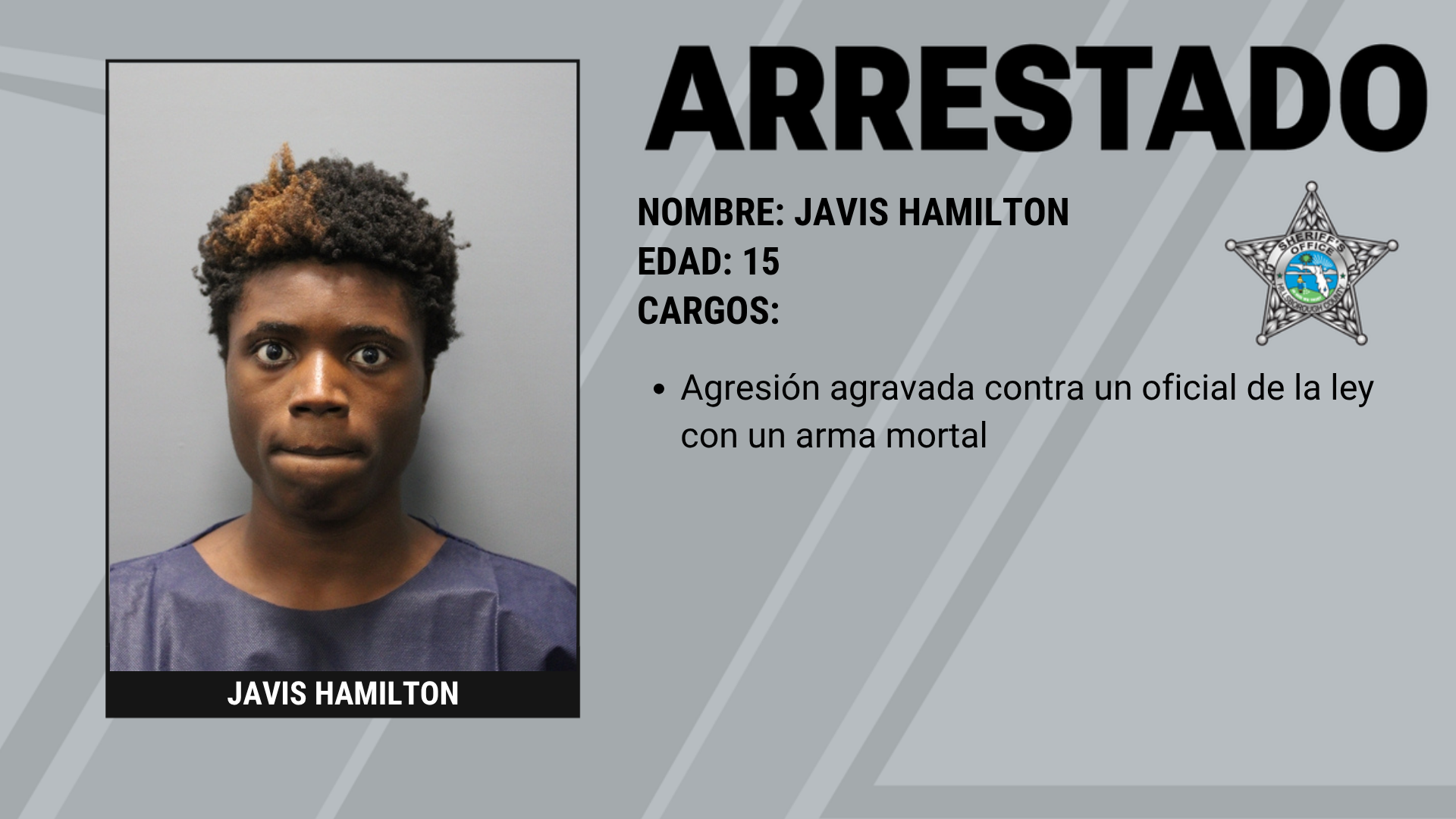 Tres adolescentes arrestados tras apuntar pistolas de aire (BB) a la Unidad de Aviación de la HCSO Supporting Image