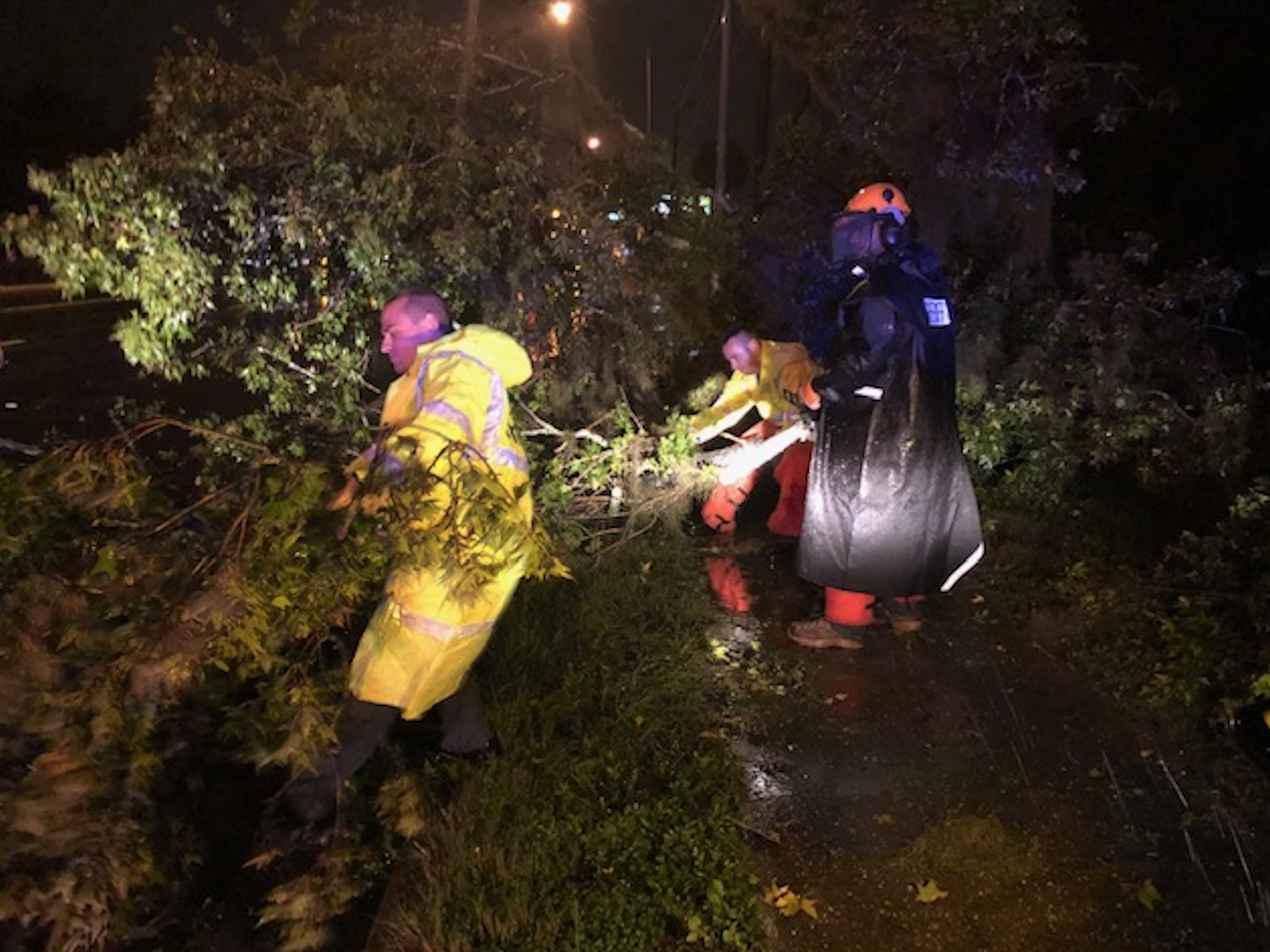 HCSO Assesses Tropical Storm Eta's Aftermath