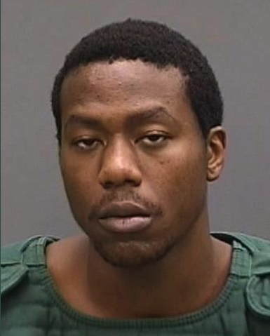HCSO Investigating Homicide in Tampa Supporting Image