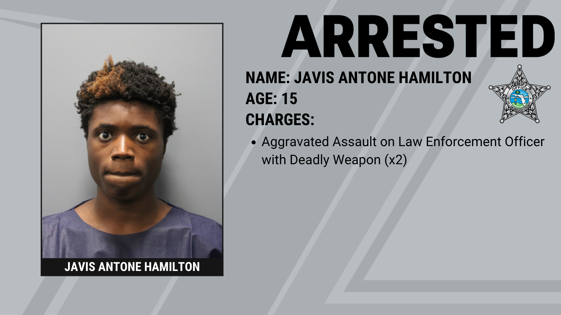  Three Teenagers Arrested After Pointing BB Guns at HCSO Aviation Unit Supporting Image
