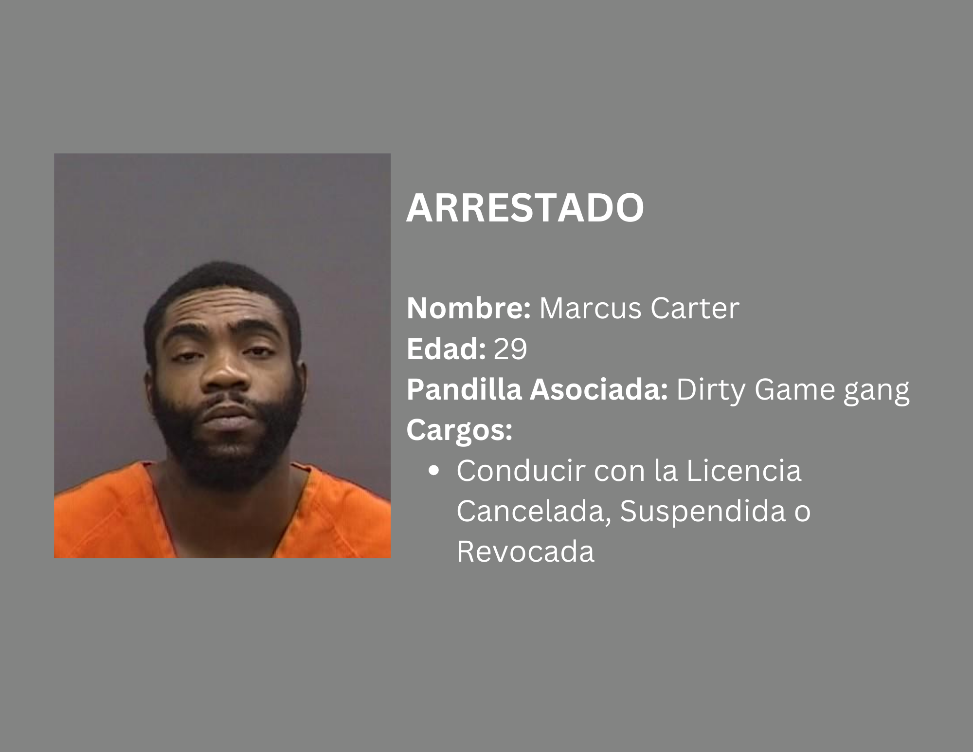 VARIOS MIEMBROS DE PANDILLAS ARRESTADOS, DROGAS Y ARMAS INCAUTADAS Supporting Image