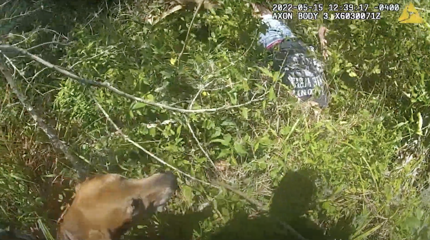 BODY CAM: K-9 locates missing woman in woods