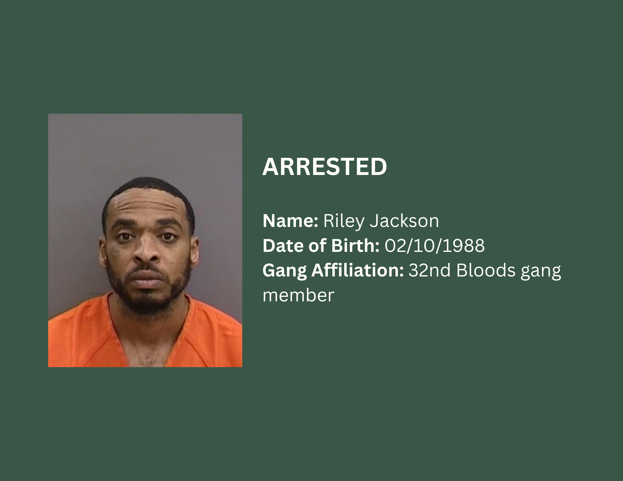 Latest Florida Arrests.org