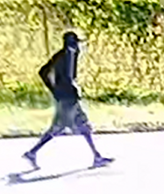 HCSO searching for suspect in attempted sexual battery Supporting Image