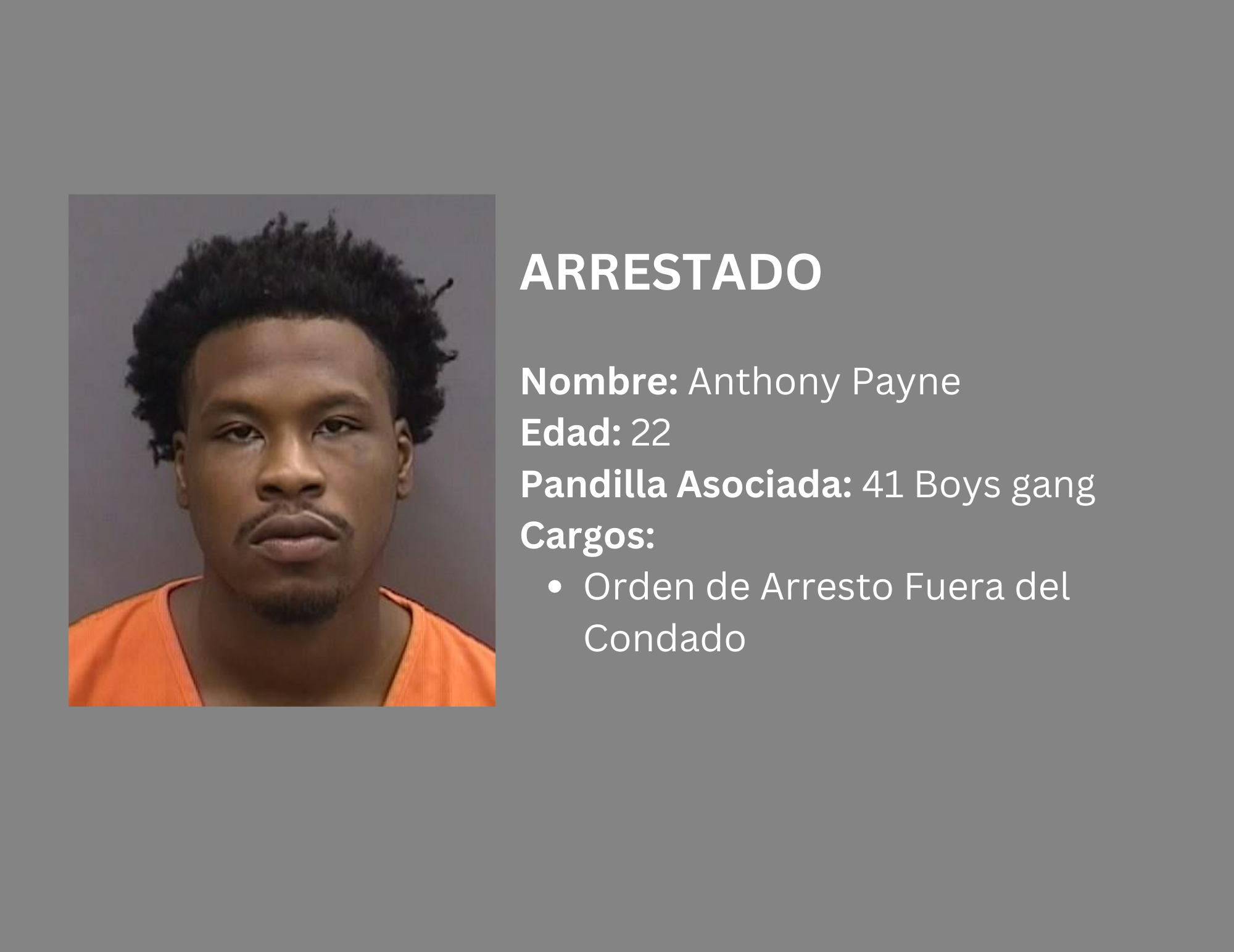 VARIOS MIEMBROS DE PANDILLAS ARRESTADOS, DROGAS Y ARMAS INCAUTADAS Supporting Image