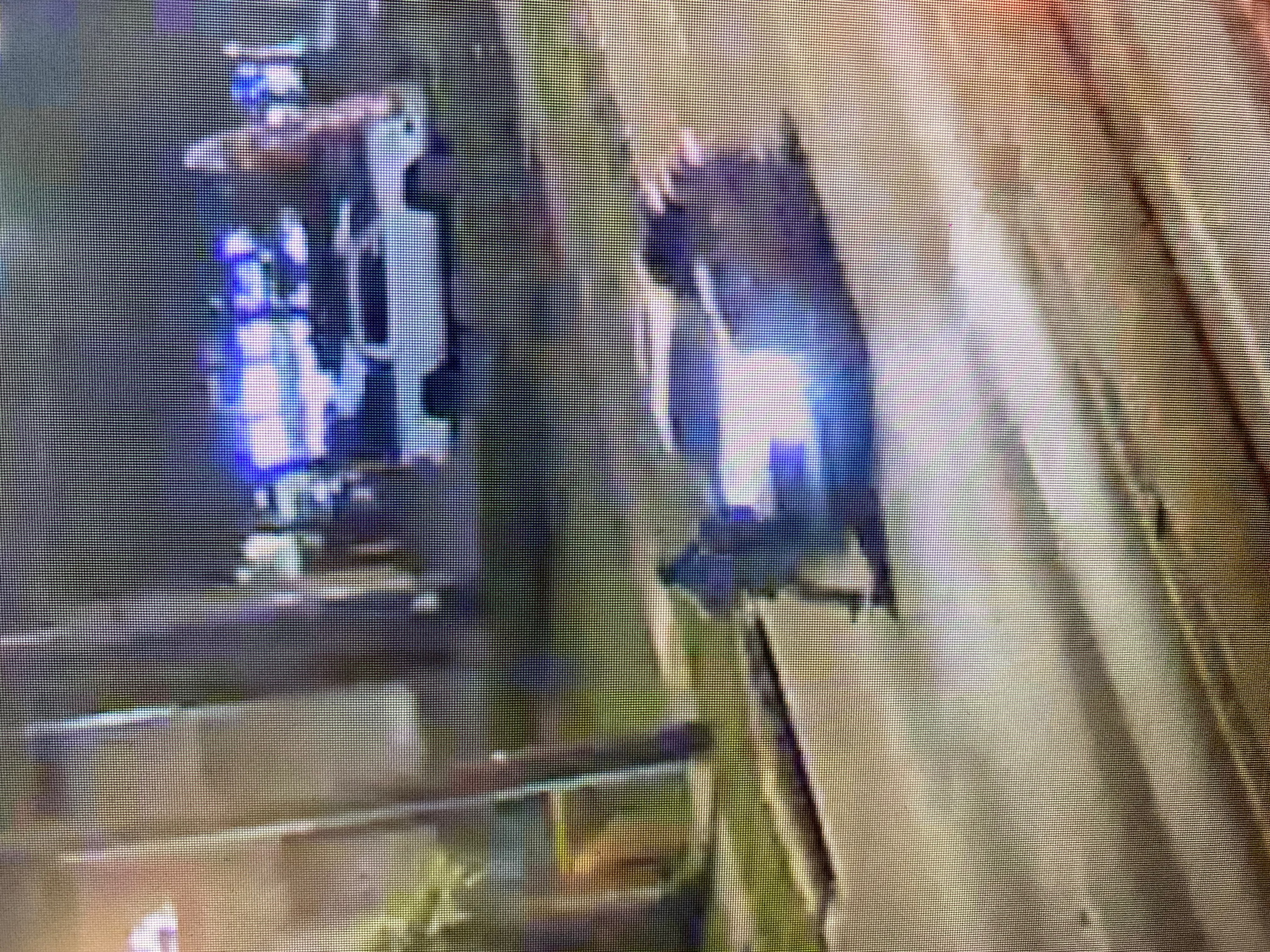 VIDEO: HCSO searching for hit-and-run suspect