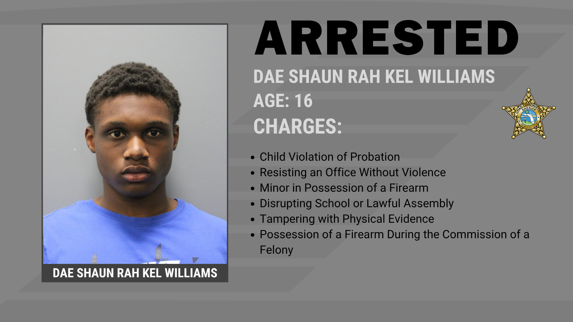 Two Armed Juveniles Arrested After Mall Disturbance Supporting Image