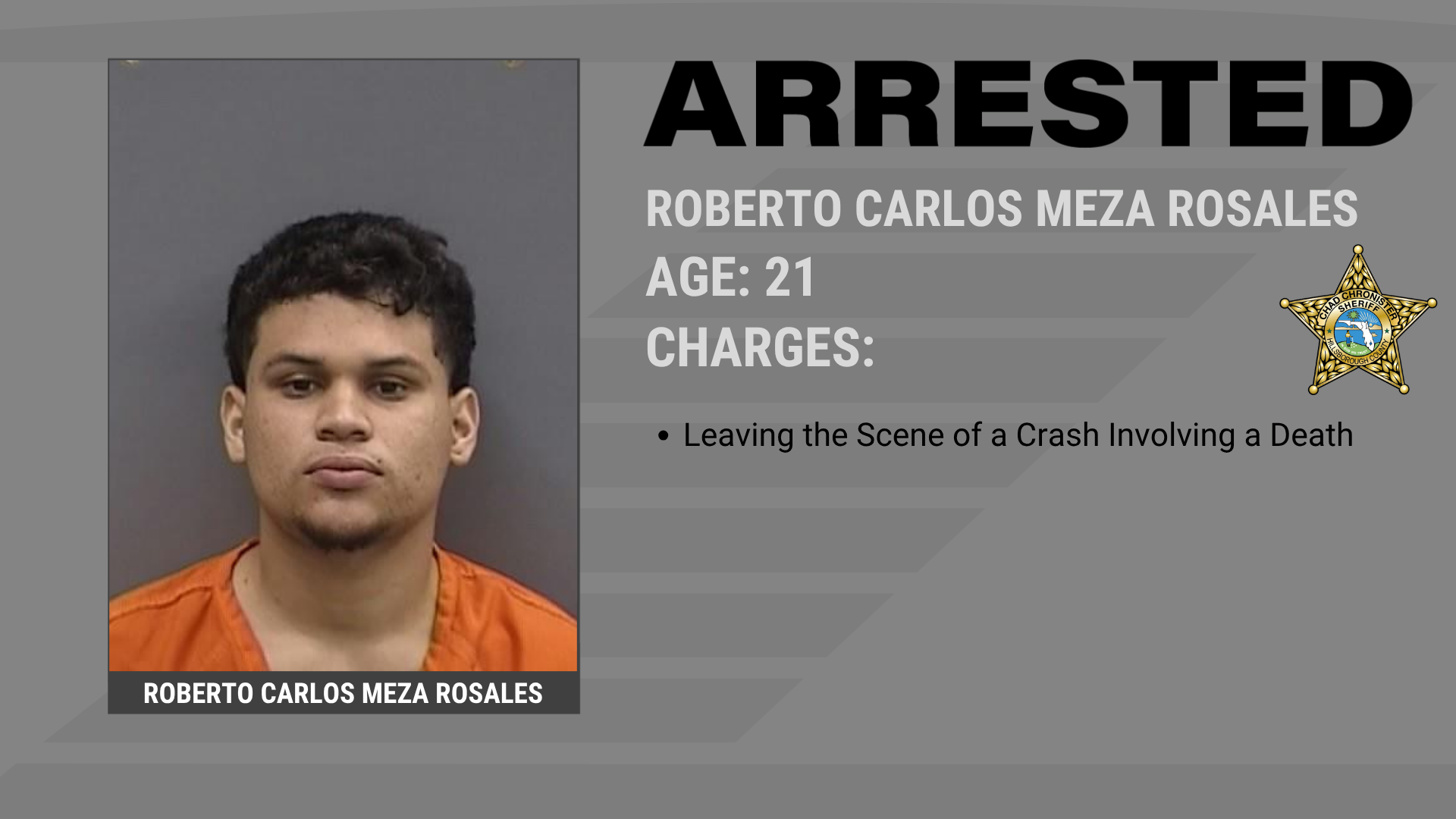 Man Arrested In Fatal Hit-And-Run Crash