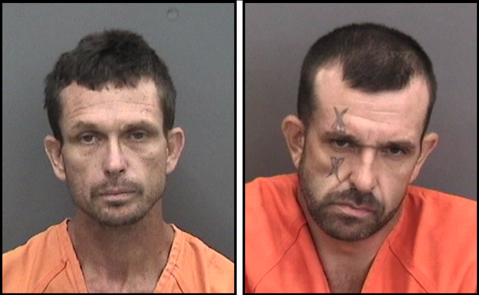 Brothers back behind bars thanks to anonymous tip image