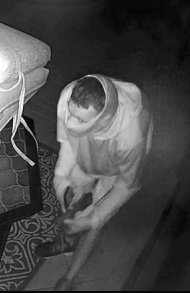 Search For Burglar Who Stole Artwork image